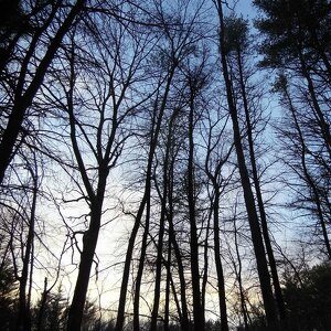 Fundraising Page: Liz Smith